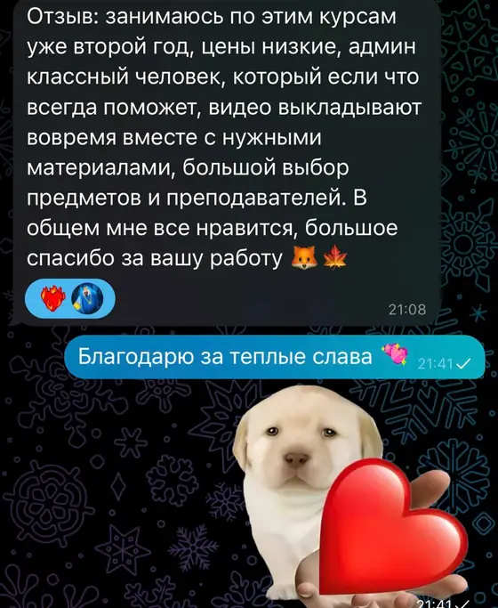 Отзыв ученика 4