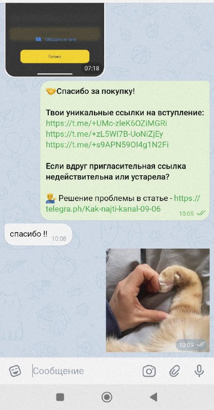 Отзыв — фото 1