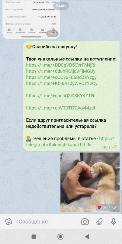 Отзыв — фото 2